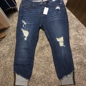 Judy Blue Skinny Jeans